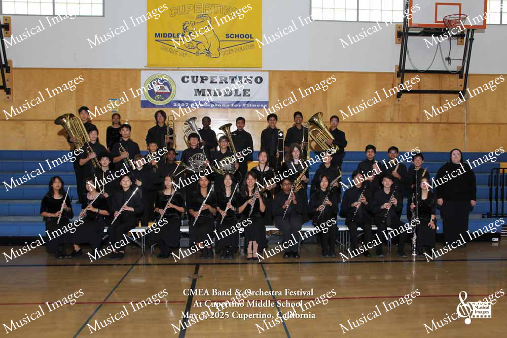 Musical Images